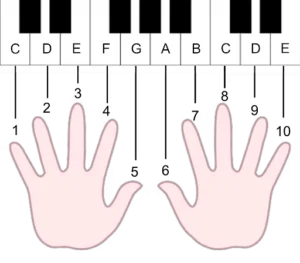 cara-melatih-kelenturan-jari-piano-untuk-pemula