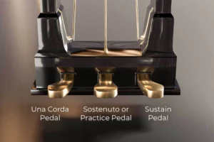 3-pedal-piano-rahasia-menghidupkan-jiwa-dalam-setiap-nada