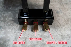 3-pedal-piano-rahasia-menghidupkan-jiwa-dalam-setiap-nada